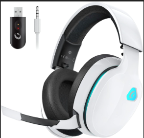 Gtheos Bluetooth Headphones with Detachable Microphone
